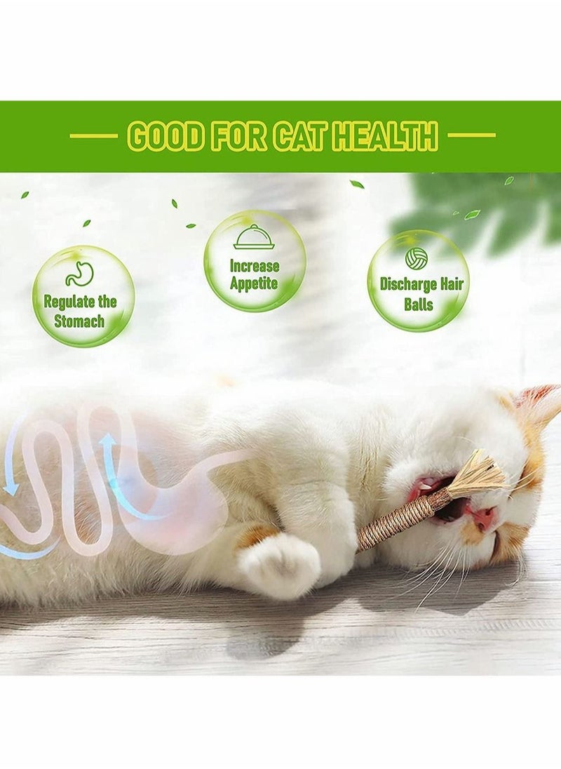 Excefore - 1 Pack Natural Silvervine Sticks Cat Toys, Catmint Silvervine Blend Sticks, Catnip Cat Chew Toys for Kittens Teeth Cleaning - Image 1