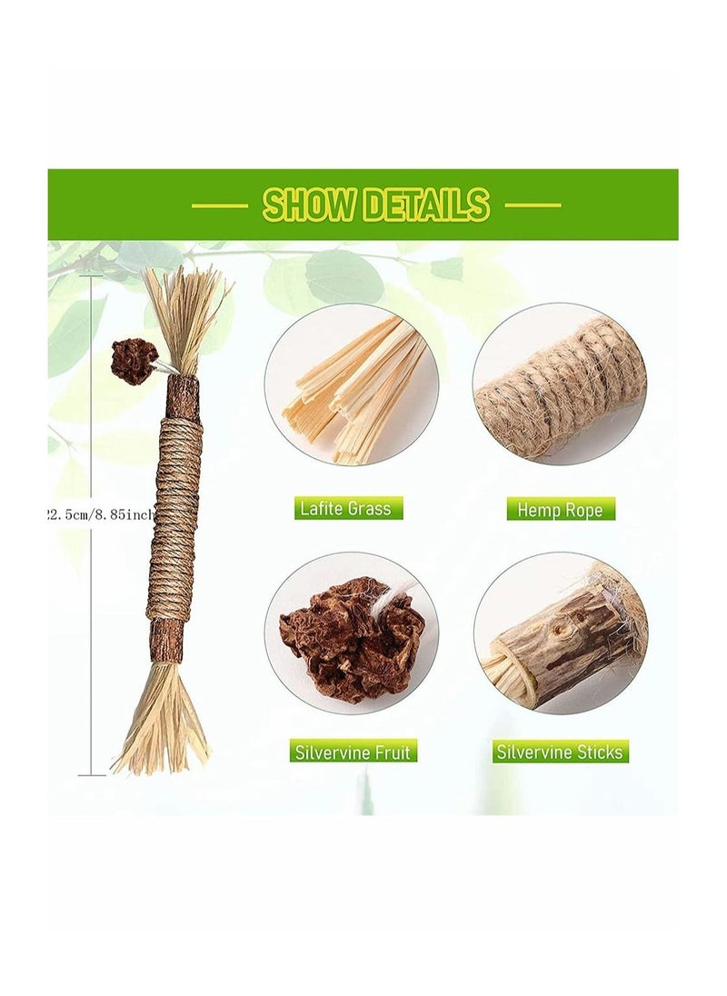 Excefore - 1 Pack Natural Silvervine Sticks Cat Toys, Catmint Silvervine Blend Sticks, Catnip Cat Chew Toys for Kittens Teeth Cleaning - Image 1