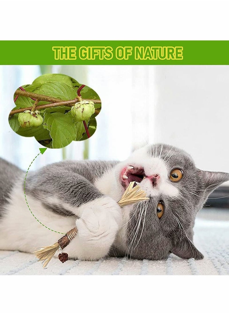 Excefore - 1 Pack Natural Silvervine Sticks Cat Toys, Catmint Silvervine Blend Sticks, Catnip Cat Chew Toys for Kittens Teeth Cleaning - Image 1