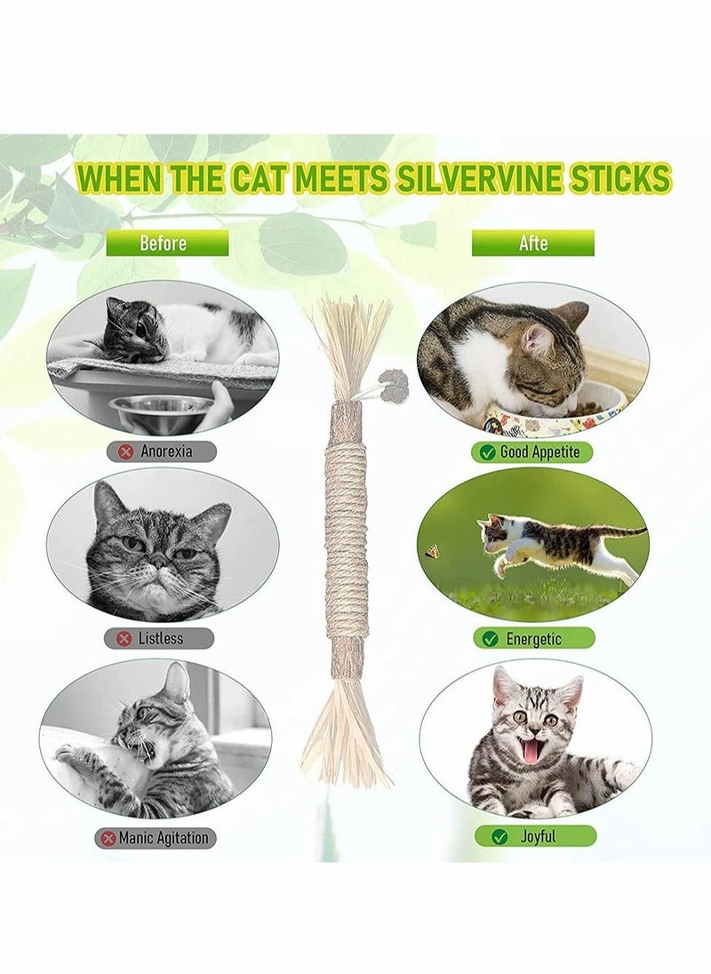 Excefore - 1 Pack Natural Silvervine Sticks Cat Toys, Catmint Silvervine Blend Sticks, Catnip Cat Chew Toys for Kittens Teeth Cleaning - Image 1