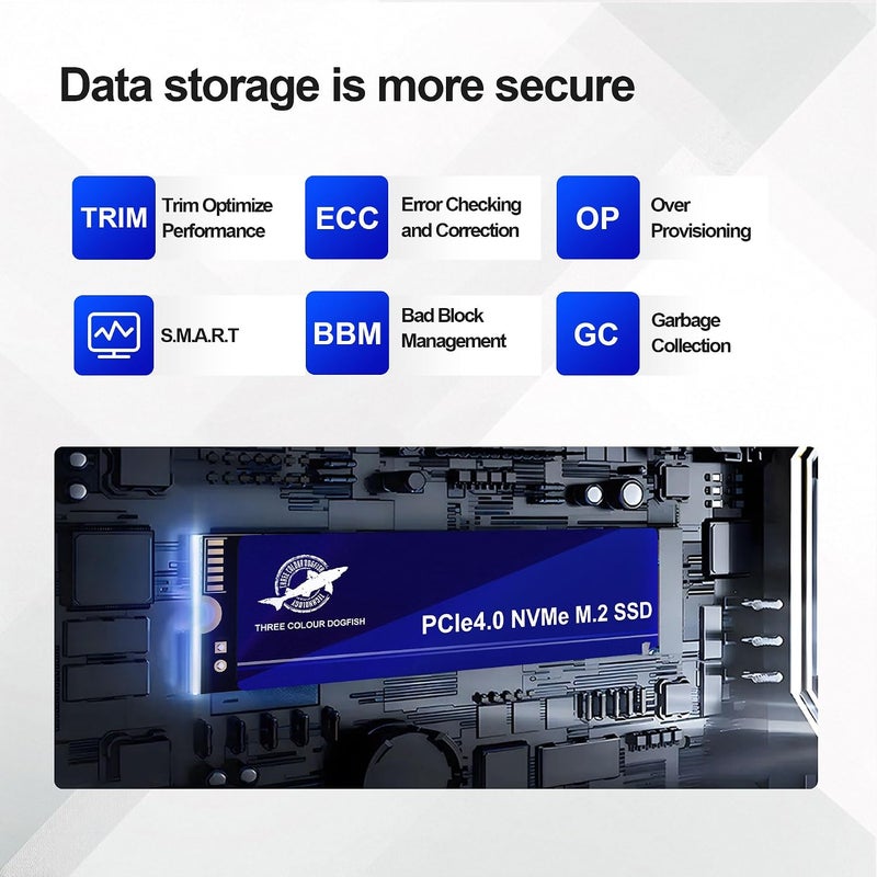 SATA III 256GB DOGFISH 2242 محرك أقراص الحالة الصلبة الداخلي عالي السرعة SSD لأجهزة الكمبيوتر المحمول والكمبيوتر الشخصي - Image 5