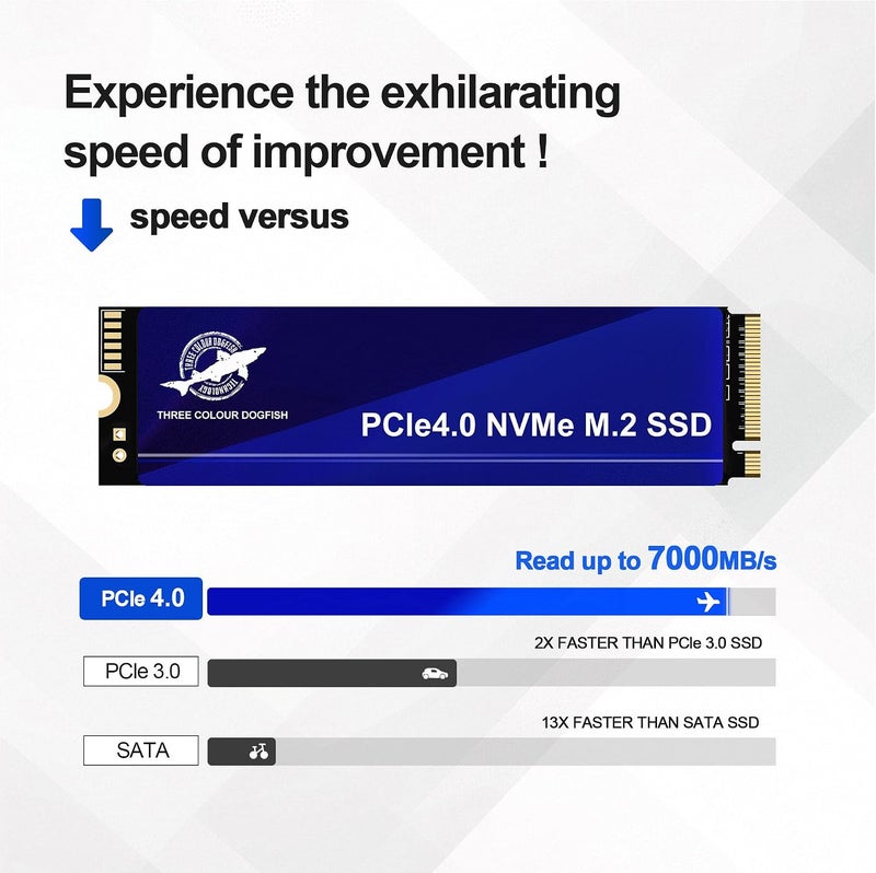 SATA III 256GB DOGFISH 2242 محرك أقراص الحالة الصلبة الداخلي عالي السرعة SSD لأجهزة الكمبيوتر المحمول والكمبيوتر الشخصي - Image 3