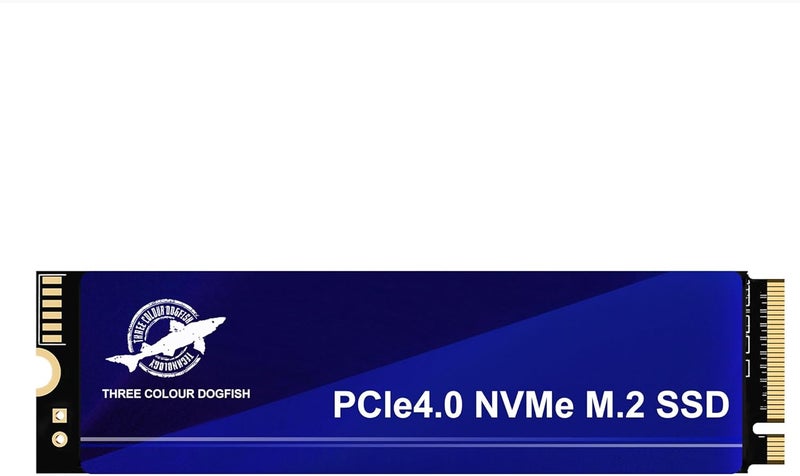 SATA III 256GB DOGFISH 2242 محرك أقراص الحالة الصلبة الداخلي عالي السرعة SSD لأجهزة الكمبيوتر المحمول والكمبيوتر الشخصي - Image 1