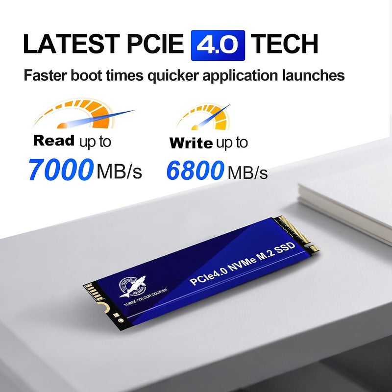 SATA III 256GB DOGFISH 2242 محرك أقراص الحالة الصلبة الداخلي عالي السرعة SSD لأجهزة الكمبيوتر المحمول والكمبيوتر الشخصي - Image 2