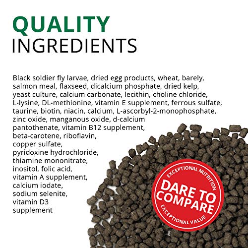 Fluval Bug Bites Turtle Food, Pellets for Small to Medium Sized Turtles, 1.5 oz., A6592, Brown - Image 5