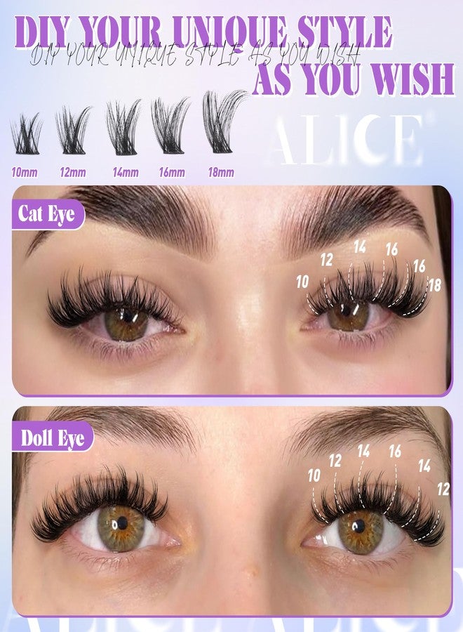 ALICE Wispy Lash Clusters Kit Natural Fluffy Lash Extension Kit Cluster Eyelash Extension Kit 162pcs C Curl 10-18mm Eyelash Clusters with Lash Glue Bond and Seal Lash Tweezers - Image 3