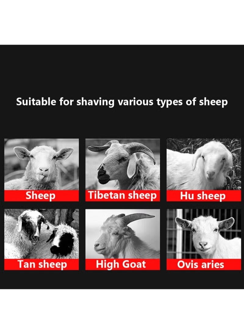 Sheep Shears Cordless 2800r/min Professional Rechargeable Shearing Clipper 24V , for Shaving Fur Wool in Sheep, Goat, Cattle, and Other Farm Livestock, with 1 Lithium Batteries