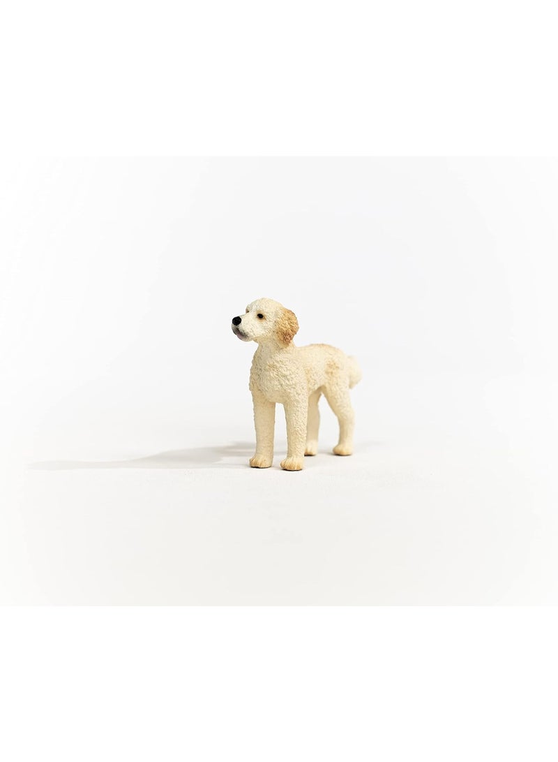 Schleich شلايش 13939 عالم المزرعة تمثال كلب جولدن دودل - Image 5
