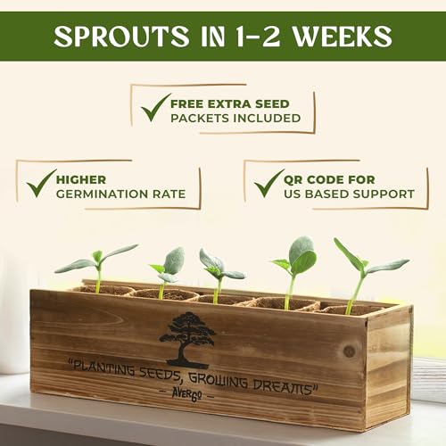 AVERGO Bonsai Tree Kit for Beginners – 5X Unique Japanese Bonzai Trees | Complete Indoor Starter Kit for Growing Plants with Bonsai Seeds, Tools & Planters – Gardening Gifts for Women & Men - Image 4