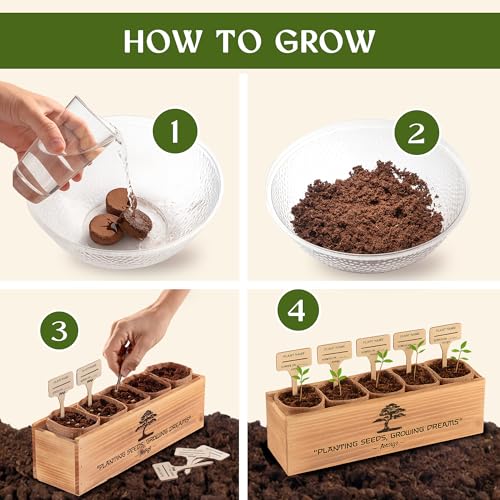 AVERGO Bonsai Tree Kit for Beginners – 5X Unique Japanese Bonzai Trees | Complete Indoor Starter Kit for Growing Plants with Bonsai Seeds, Tools & Planters – Gardening Gifts for Women & Men - Image 3