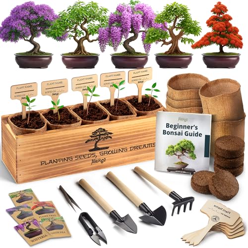 AVERGO Bonsai Tree Kit for Beginners – 5X Unique Japanese Bonzai Trees | Complete Indoor Starter Kit for Growing Plants with Bonsai Seeds, Tools & Planters – Gardening Gifts for Women & Men - Image 1