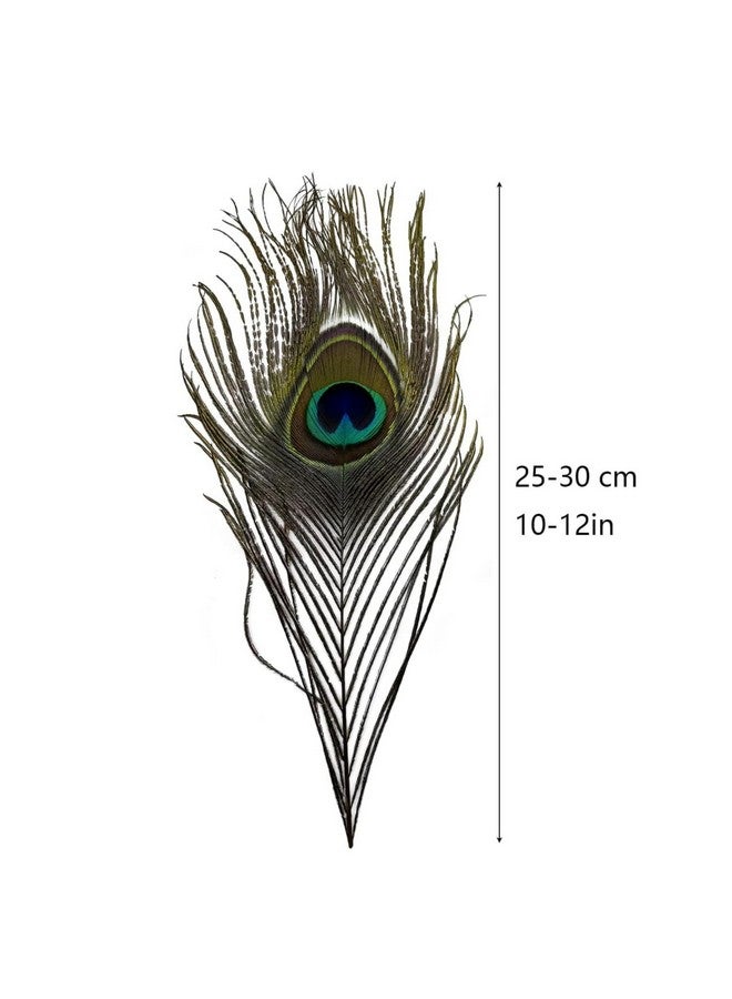 Tdas 15 Pcs Real Peacock Feather Original Feathers morpankh for Craft Floral Flowers Items Home Decoration, Wedding, House Decor (15 Pcs Feather) - Image 2