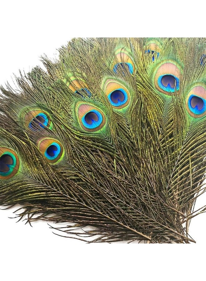 Tdas 15 Pcs Real Peacock Feather Original Feathers morpankh for Craft Floral Flowers Items Home Decoration, Wedding, House Decor (15 Pcs Feather) - Image 1