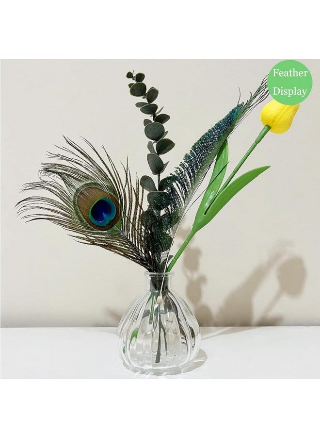 Tdas 15 Pcs Real Peacock Feather Original Feathers morpankh for Craft Floral Flowers Items Home Decoration, Wedding, House Decor (15 Pcs Feather) - Image 3