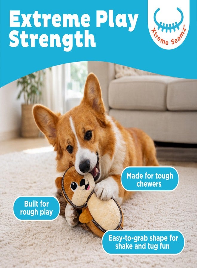 Outward Hound Xtreme Seamz Dog Toy, Reinforced Seams & Multiple Stitching, Durable Plush with Squeakers, Squirrel, 8.3” - Image 2