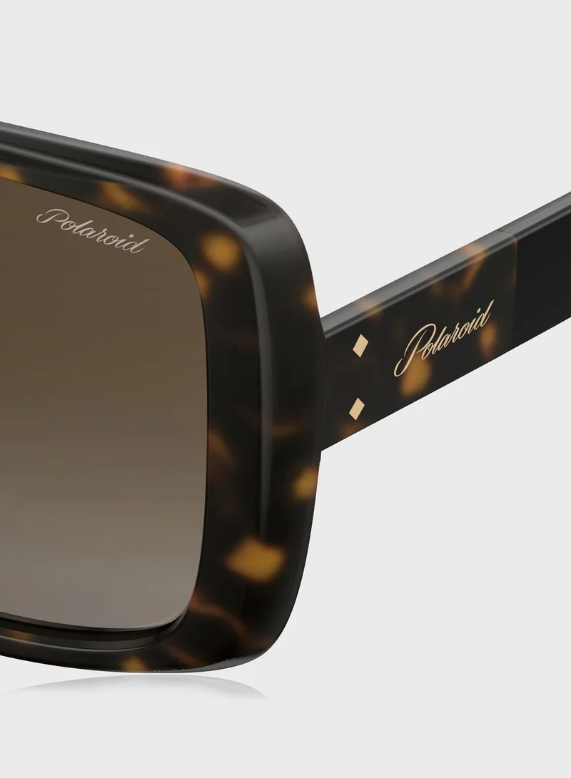 Polaroid Pld 4072/S Sunglasses