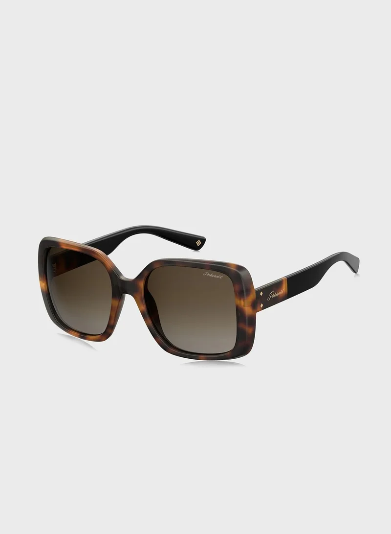 Polaroid Pld 4072/S Sunglasses