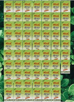 Pyary 67 Pieces Turmeric Soap All Natural Hand Crafted Vegan Ayurvedic 