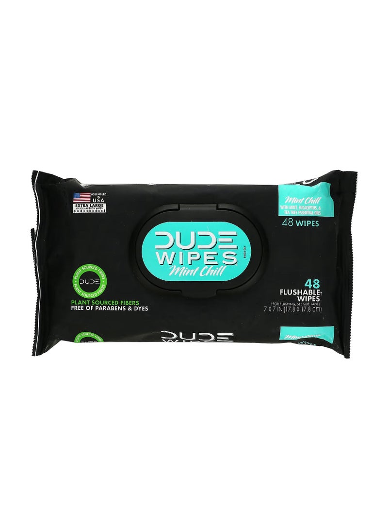 Dude Products Flushable Wipes Mint Chill 48 Wipes - Image 1