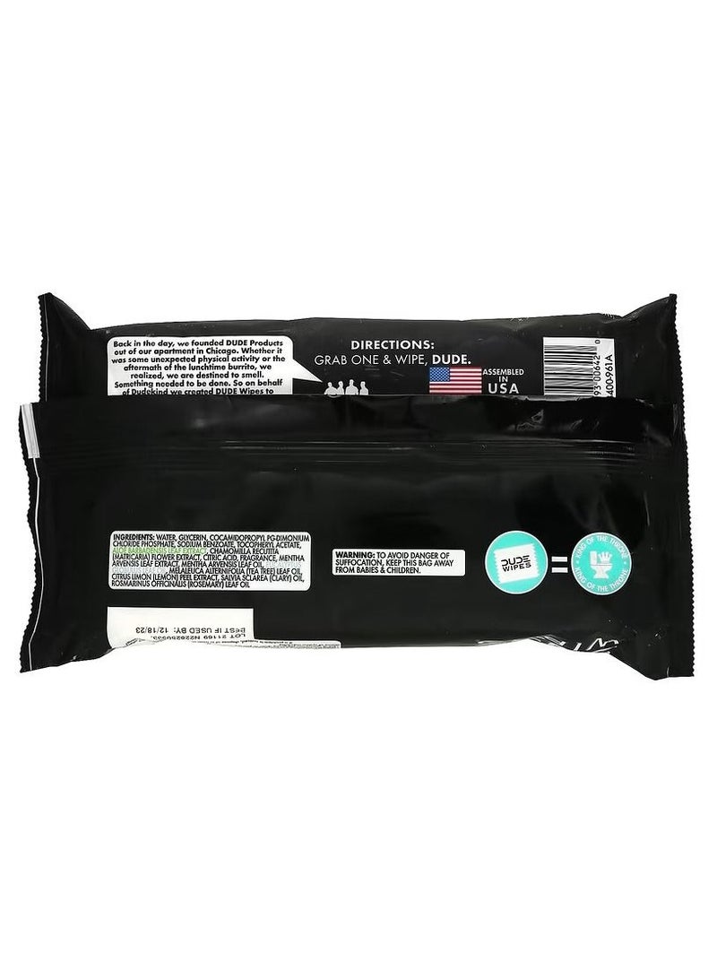 Dude Products Flushable Wipes Mint Chill 48 Wipes - Image 2
