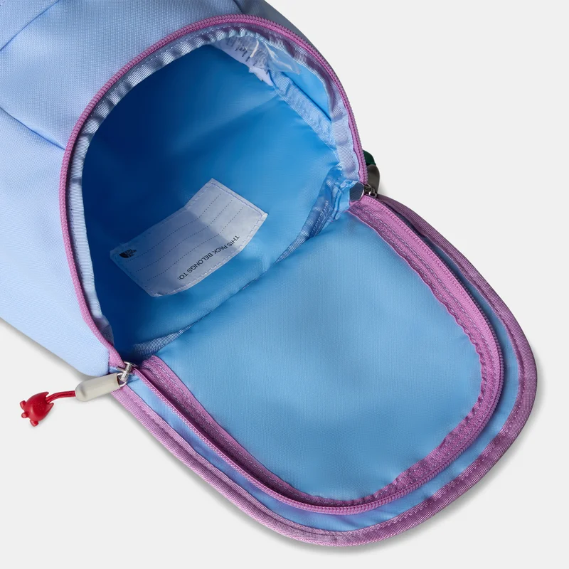 THE NORTH FACE Kids' Mini Explorer Backpack