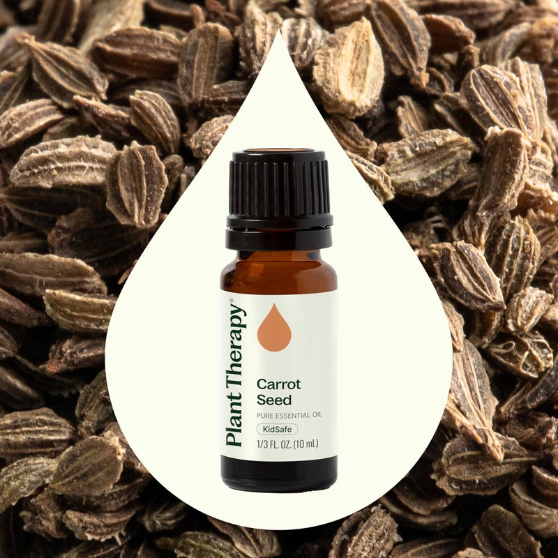 Plant Therapy Carrot Seed Essential Oil 100% Pure, Undiluted, Natural Aromatherapy, Therapeutic Grade 10 mL (1/3 oz) - Image 3