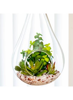 Restaurantware Restaurantware-7.9 x 12.6 Inch Hanging Terrarium With Faux Succulent, 1 Artificial Succulent - In Hanging Glass Terrarium, With Knotted Hemp Rope, Plastic Hanging Succulent, Patio Or Home Decor  - Image 3