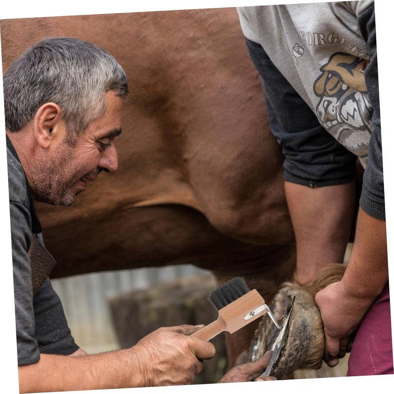 أداة تقليم حوافر الخيل VICASKY وفرشاة تنظيف حوافر الأبقار، مصممة لرعاية حوافر الخيل، مع مقبض خشبي وشعيرات لتنظيف وصيانة فعالة. - Image 4