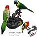 Tipmant Realistic Electronic Parrots Bird Toys Electric Animal Pets Move Chirp Home Office Table Desk Wall Decoration Kids Birthday Gifts - Image 4