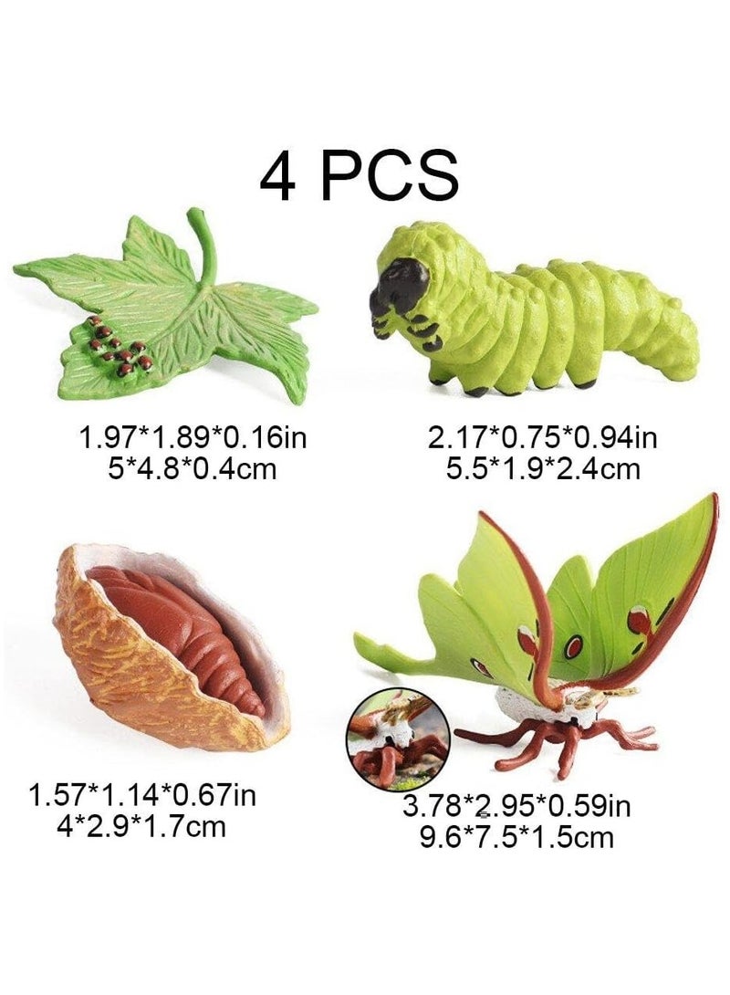 SOLARAE Life Cycle Models Butterfly, Simulation Animal Growth Cycle Model, Life Cycle Animal Figures Toy Growth Model for Children, for Home Diy, School Teaching Aids, 4 Stages of Butterfly Developments - Image 3