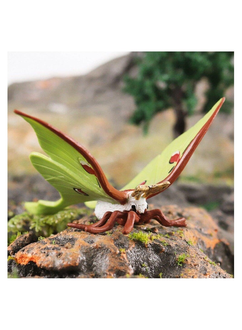 SOLARAE Life Cycle Models Butterfly, Simulation Animal Growth Cycle Model, Life Cycle Animal Figures Toy Growth Model for Children, for Home Diy, School Teaching Aids, 4 Stages of Butterfly Developments - Image 5