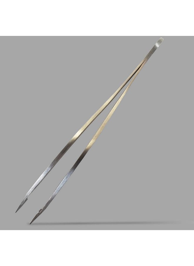 Zizzili Basics - Elite Series Slant Tweezerssurgical Grade Stainless Steel For Professionals (Satin Finish) - Image 1
