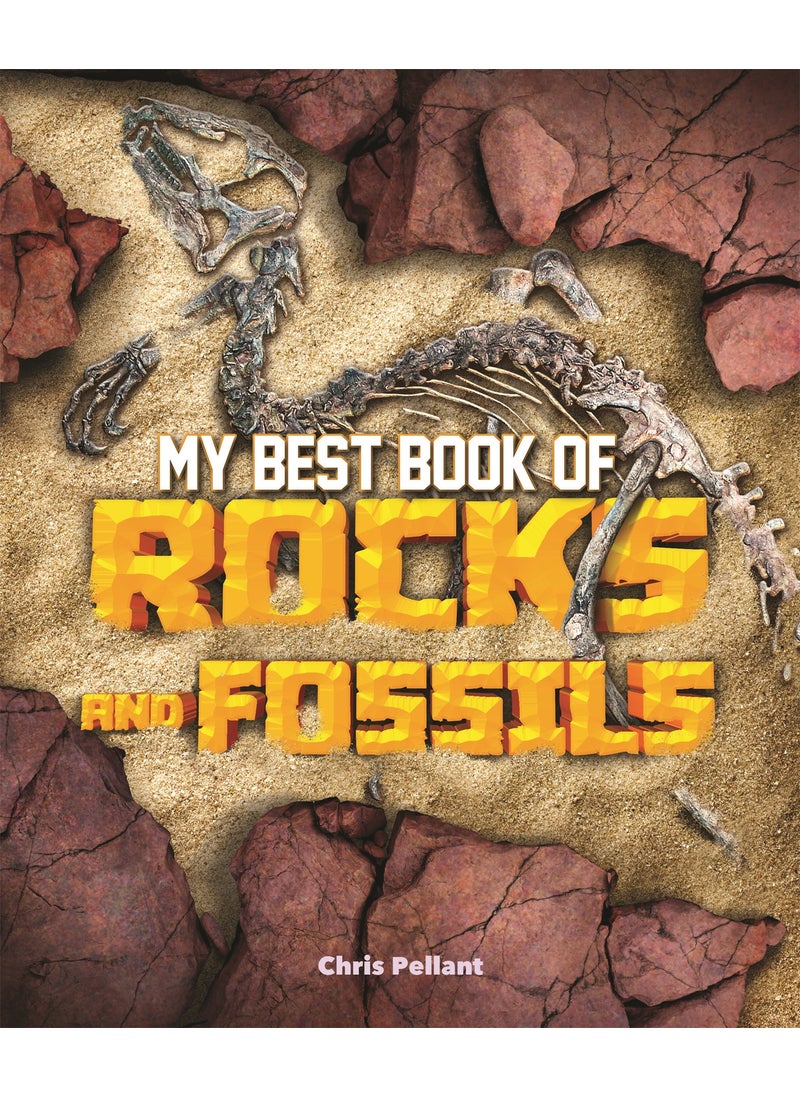 null - My Best Book of Rocks and Fossils - Image 1