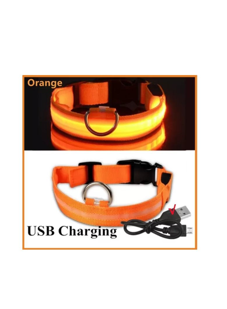 Dog Collar Belt Electronic LED, Rechargeable Luminous - USB 