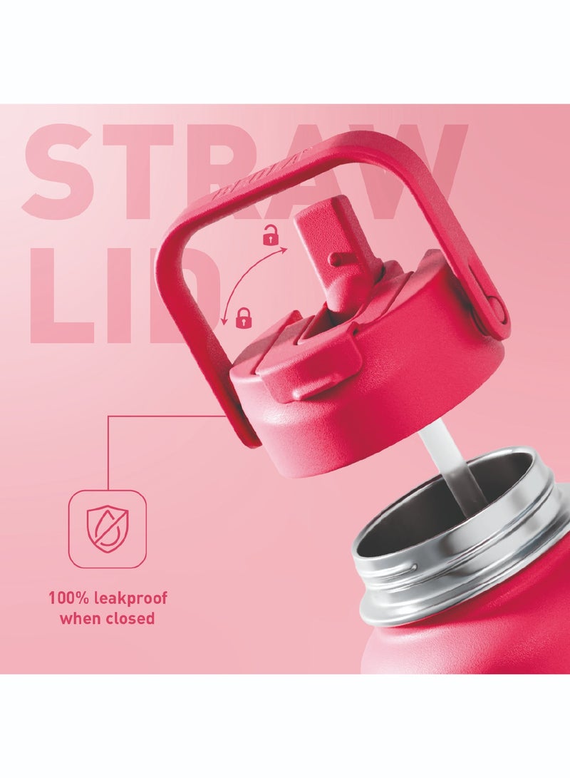 750ml Water Bottle 18/8 Stainless Steel 304 Double Wall Insulated Thermos Bottle with Straw Lid and wide mouth, 2 lids included, Hot Cold Liquids Sports Bottle, 24oz (Raspberry)