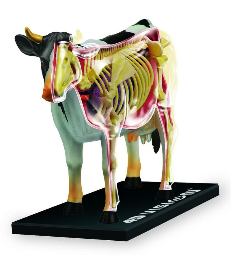Tedco 4D Vision Cow Model - Image 1