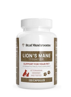 Real Mushrooms Lions Mane Pet Support Mushroom Supplement 120 Capsules 
