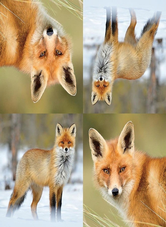 Esschert Design TP186 Fox Napkins - Image 2