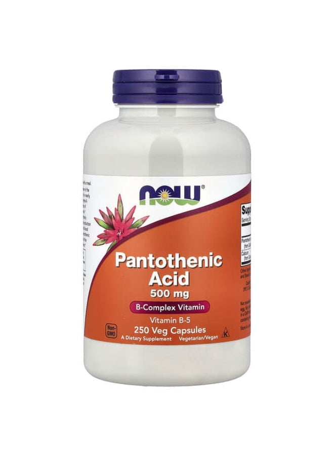 Now Foods Pantothenic Acid B-Complex Vitamin 500 mg - 250 Capsules - Image 1