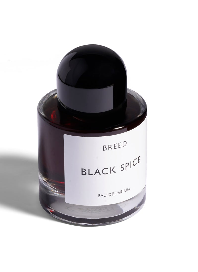 AMD Perfumes Breed Collection Black Spice By AMD Perfumes Men Fragrance EDP 100ml  - Image 5