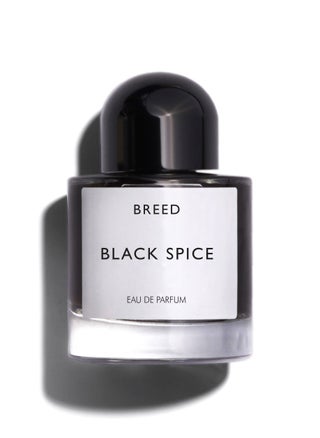 Breed Collection Black Spice By AMD Perfumes Men Fragrance EDP 100ml - pzsku/ZC5B7AE6A19CC3F9F6B92Z/45/_/1732700554/208eab57-b9b6-48bd-a18f-599d0b6a6bde