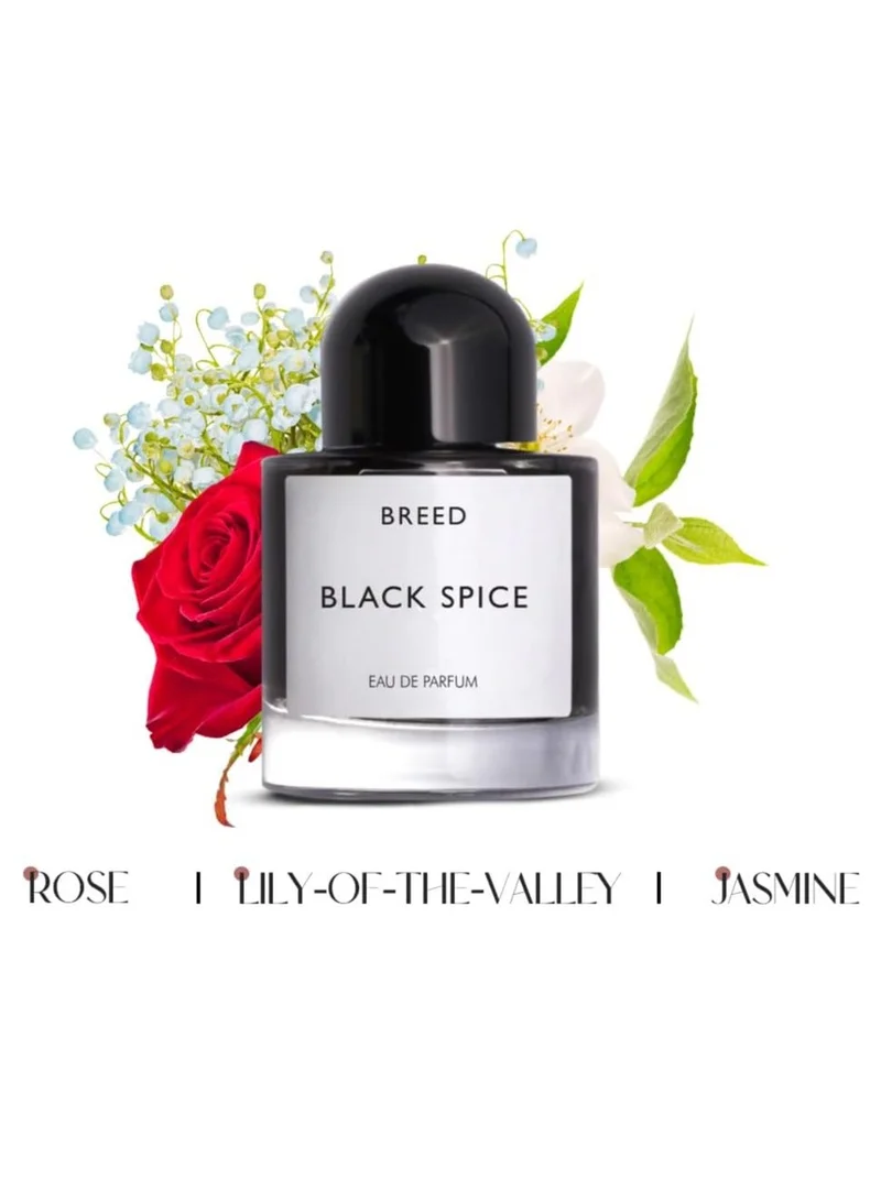 AMD Perfumes  Breed Collection Black Spice By AMD Perfumes Men Fragrance EDP 100ml for Men | Best Price UAE