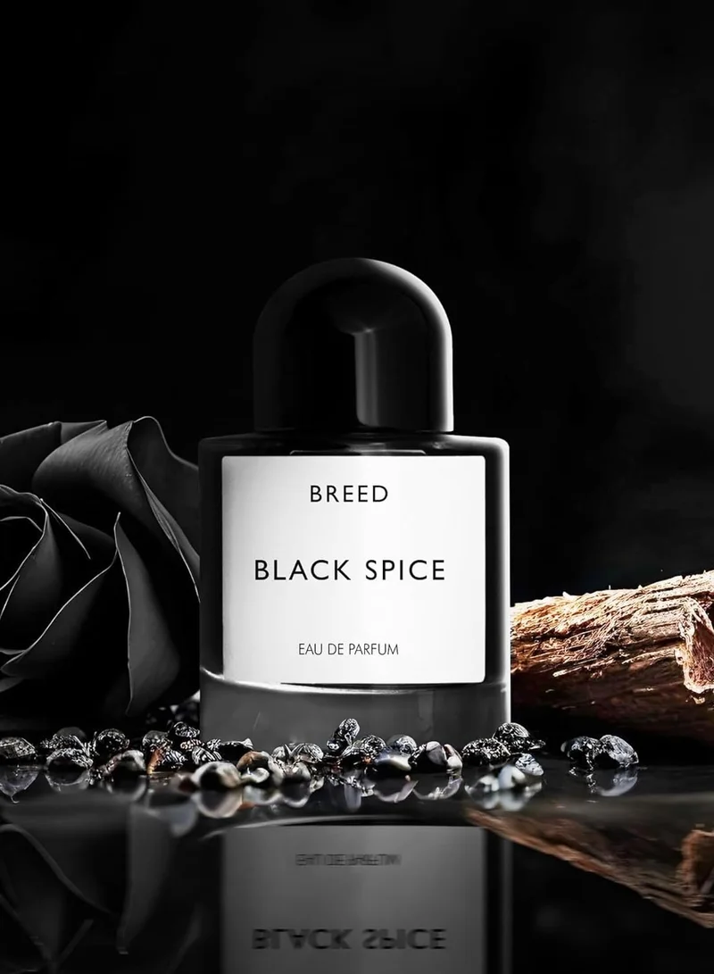 AMD Perfumes  Breed Collection Black Spice By AMD Perfumes Men Fragrance EDP 100ml for Men | Best Price UAE