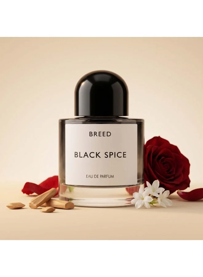 AMD Perfumes  Breed Collection Black Spice By AMD Perfumes Men Fragrance EDP 100ml for Men | Best Price UAE
