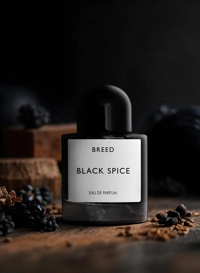 AMD Perfumes  Breed Collection Black Spice By AMD Perfumes Men Fragrance EDP 100ml for Men | Best Price UAE