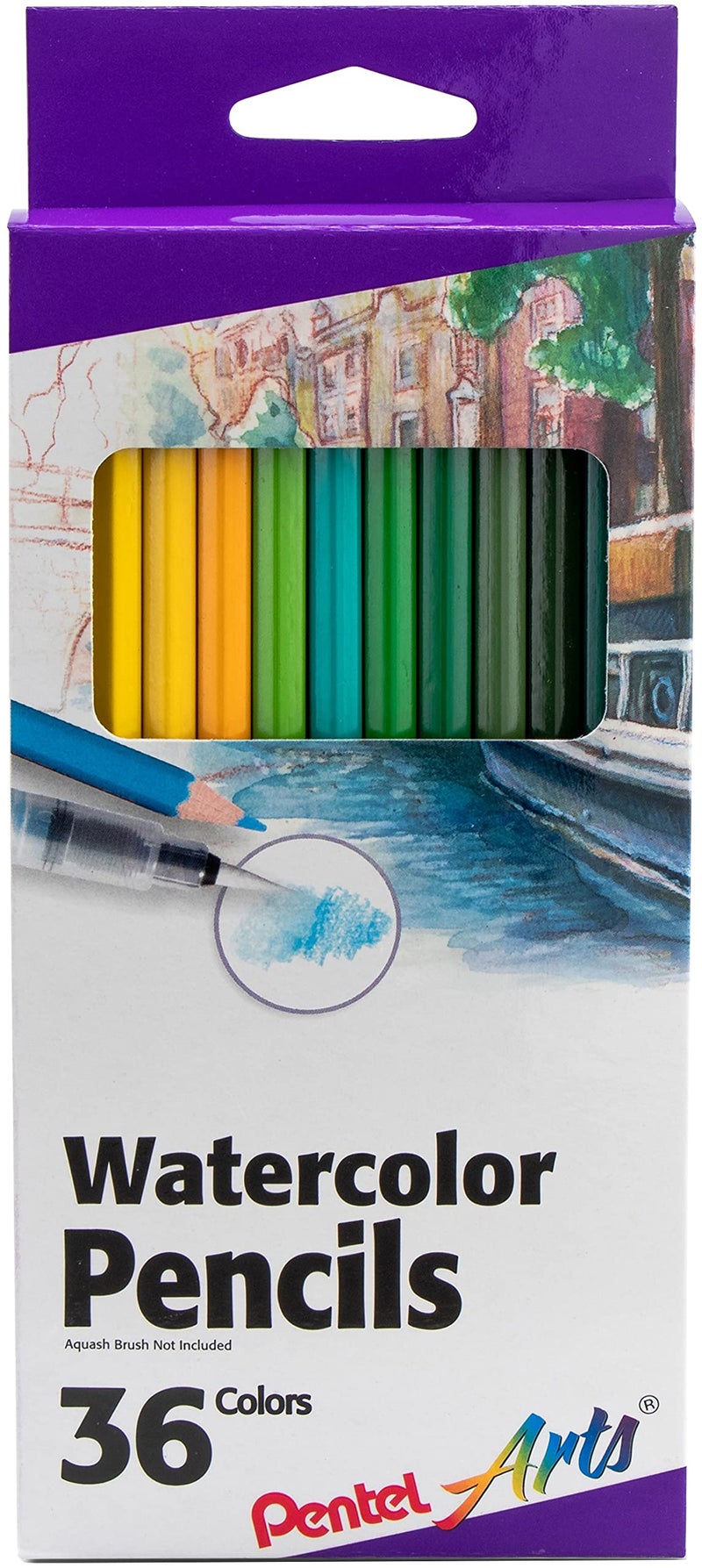 Pentel Arts Watercolor Pencil Set Assorted Colors 36Pack CB936