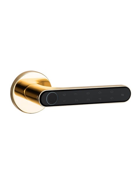 Smart Fingerprint Door Knob（24k Gold Plated）, With 5 Ways To Unlock(TUYA Bluetooth App/Fingerprint/Code/Key/IC Card), Electronic Digital Door Lock, Bedroom Biometric Door Lock