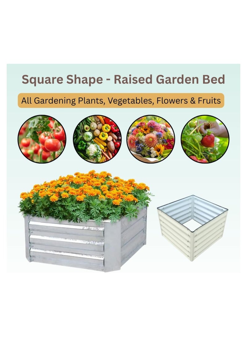 Generic Raised Garden Bed Square-17(2FT), Dimension: 75 X 75 X 43 CM, 238 Ltr, Colour – Off White, Square Shape Metal Planter Box for Vegetables, Flowers, Herbs & Fruits - Image 5