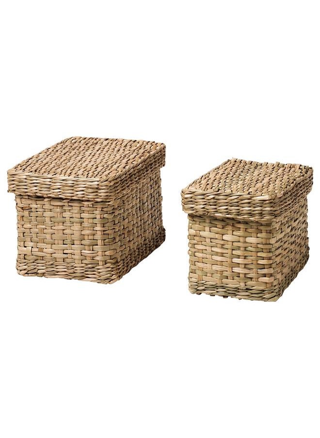 Generic Box with lid, set of 2, seagrass  - Image 1