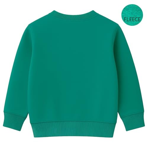 Kuchipoo Boys Regular Fit Winterwear Sweatshirt (KUC-SWT-374, 13-14 Years, Multi-Colored) - Image 2